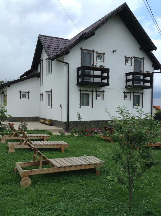 Elder Villa Bran  Exteriér fotografie