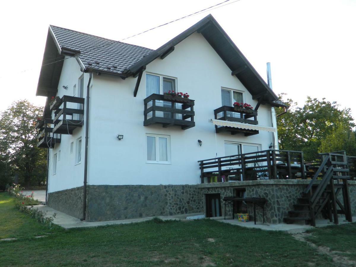 Elder Villa Bran  Exteriér fotografie